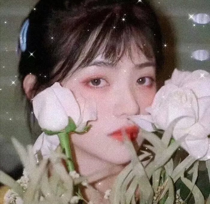 莲花楼